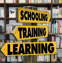 2025年全域投放操作指南，结合直播与短视频，打造高效营销闭环